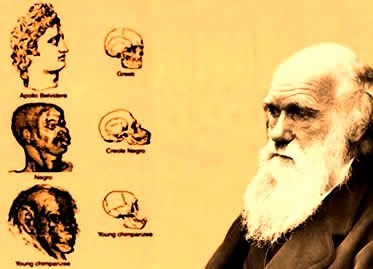 O darwinismo social realizou uma outra interpretação das ideias de Charles Darwin